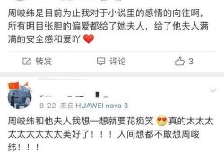 娱乐圈小说爆料人,揭秘明星真实人生