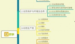 粉球最新爆料视频大全集,揭秘幕后真相，带你走进事件核心